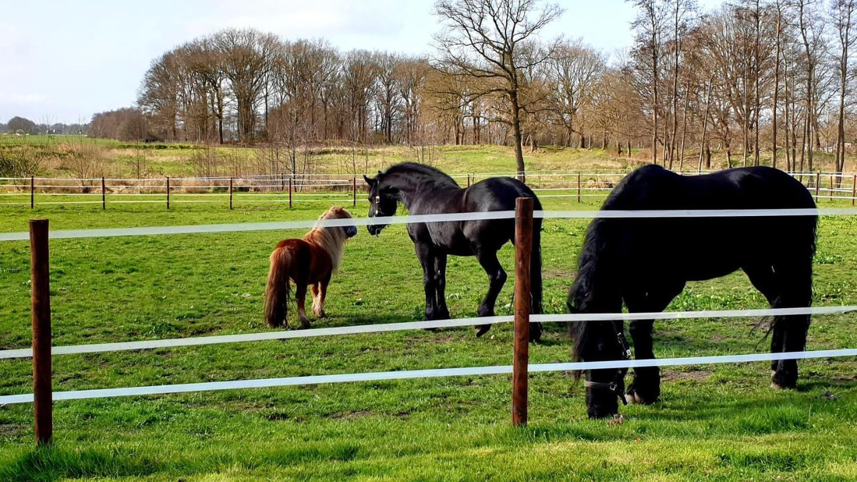 B&B Kuiper In Friesland Ureterp Extérieur photo